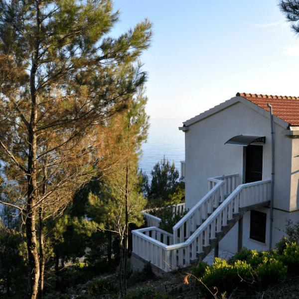 Villa Victor Babino Polje Luaran gambar